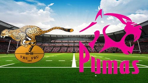Cheetahs vs Pumas