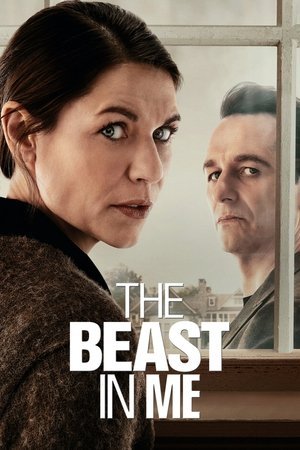 Limited Series